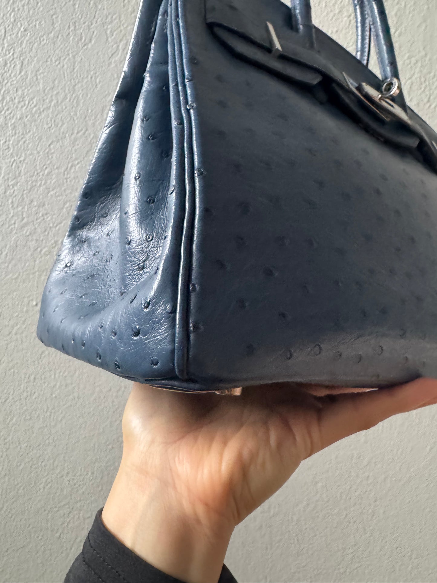 Hermes Birkin 30 Ostrich
